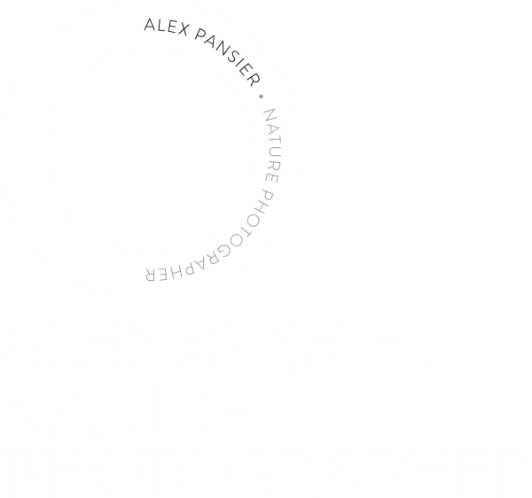 Alex Pansier, Nature Photographer