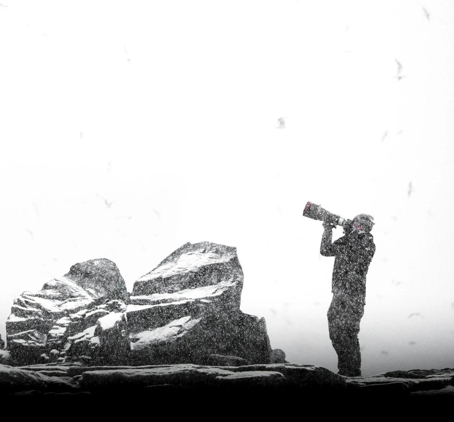 Alex Pansier photographing in heavy snowfall in Dovrefjell-Sunndalsfjella National Park, Norway.