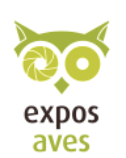 Emotion’Ailes