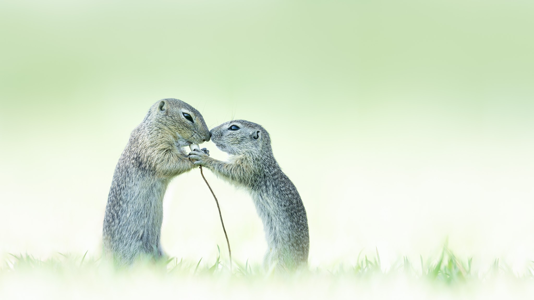 True Love