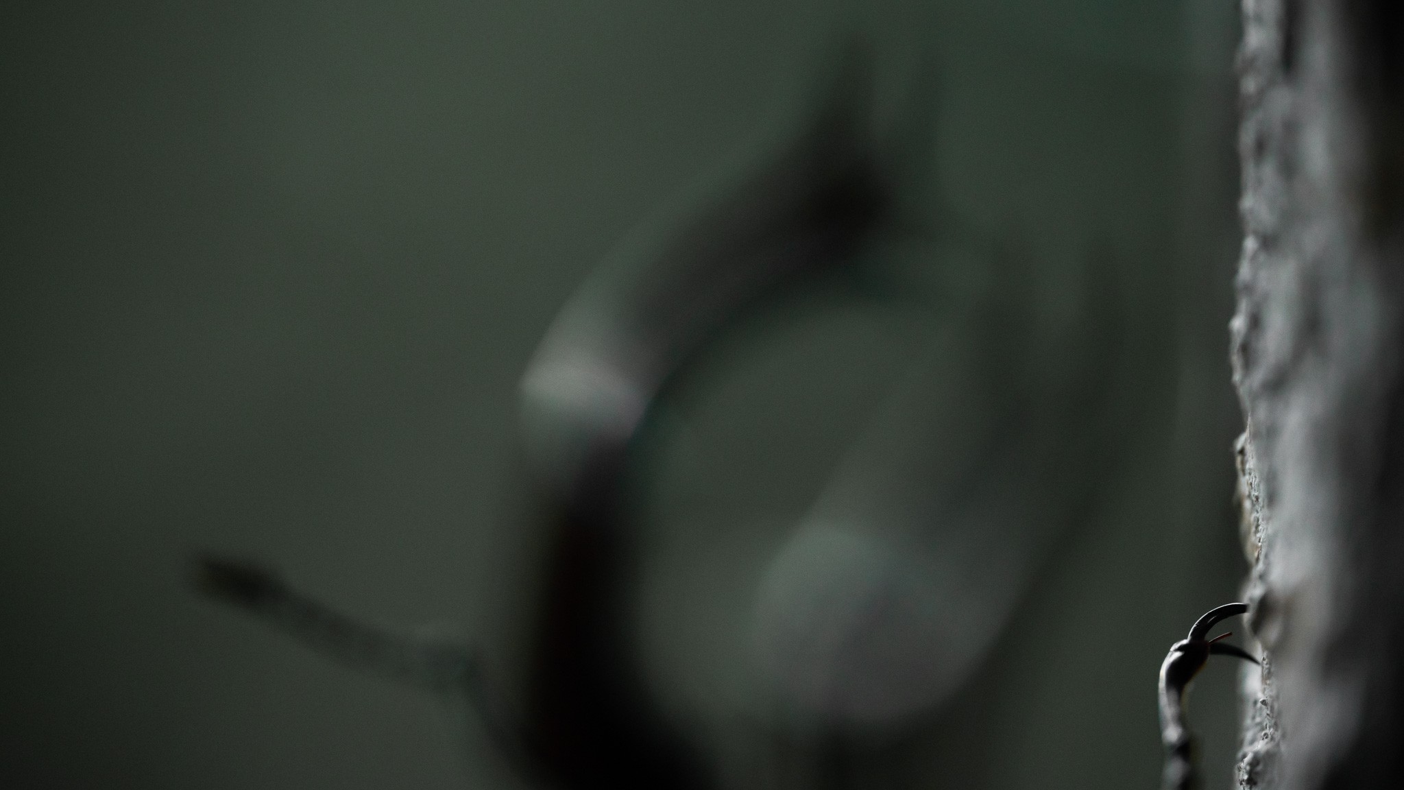 Stag Deer Detail