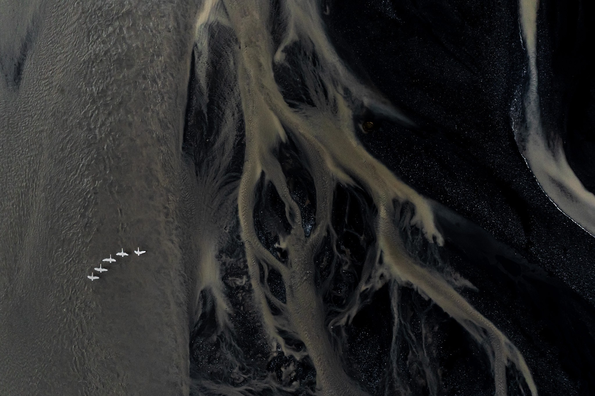 Winged Wanderers. Aerial view captures swans gracefully flying over contrasting dark sands and silvery streams, creating a striking natural composition.