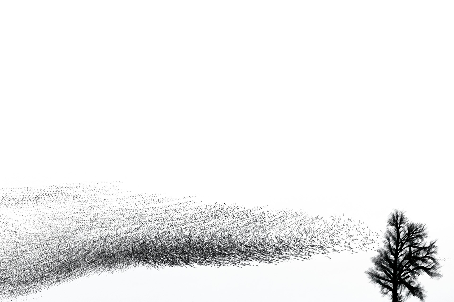 Award-winning fine-art nature photograph by Alex Pansier — Portfolio Runner-up · Groene Camera · 2025.