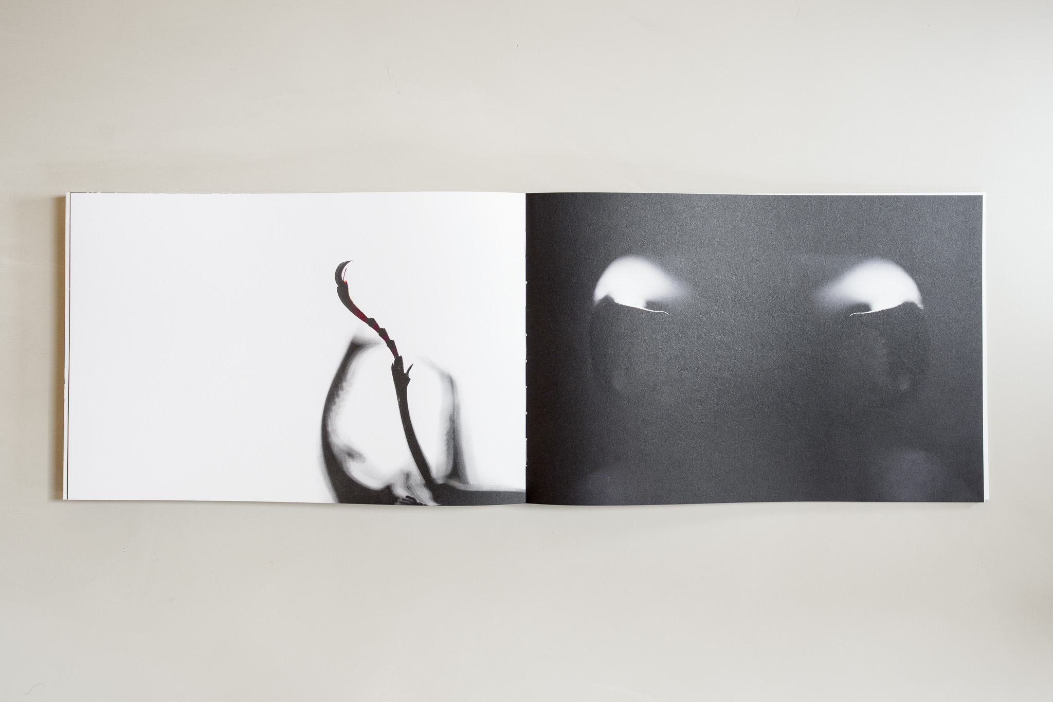 Open boek met een abstract vogelportret en donkere grafische vormen.