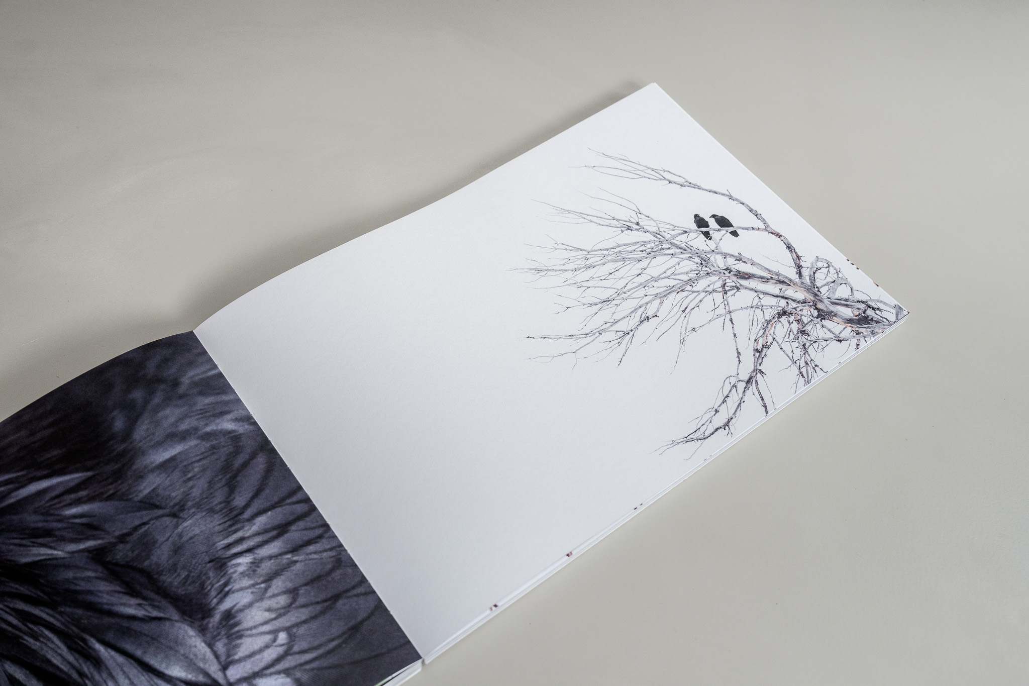 Open boek met twee vogels in de lijnen van een kale boom.