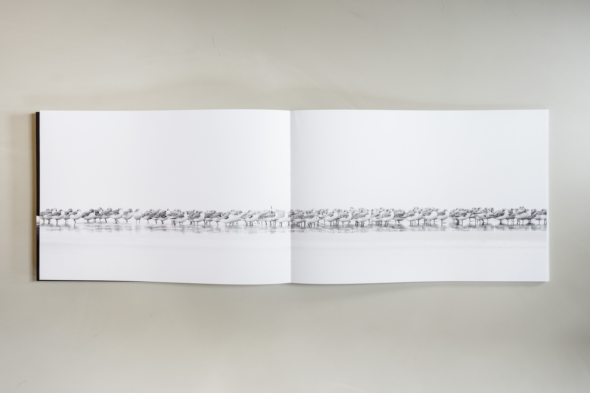Open book showing a long line of birds resting on water.
