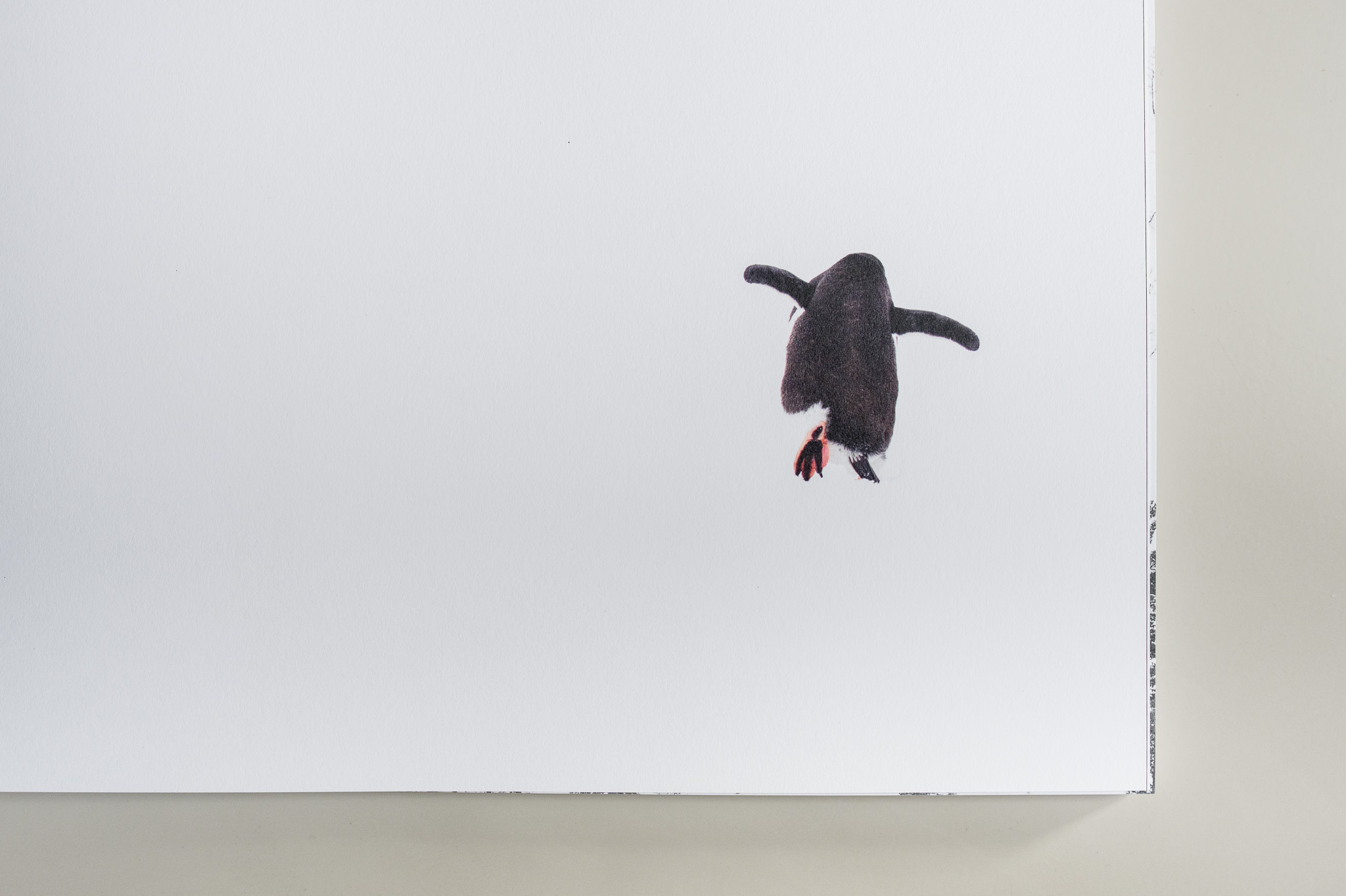Open boek met een enkele pinguïn in een wit vlak.
