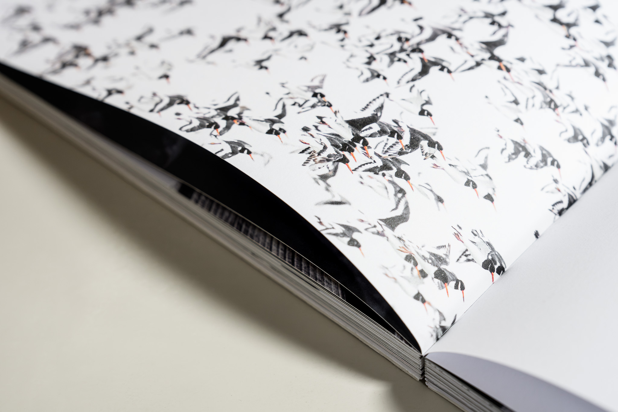 Open boek met een bewegende zwerm scholeksters, teruggebracht tot grafische tekens.