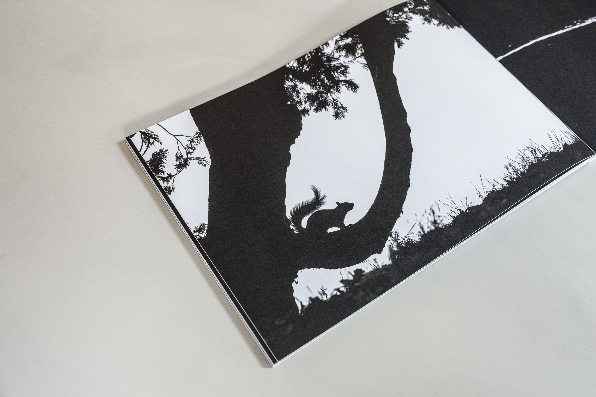 Open boek met een eekhoorn als silhouet tussen boomstammen.