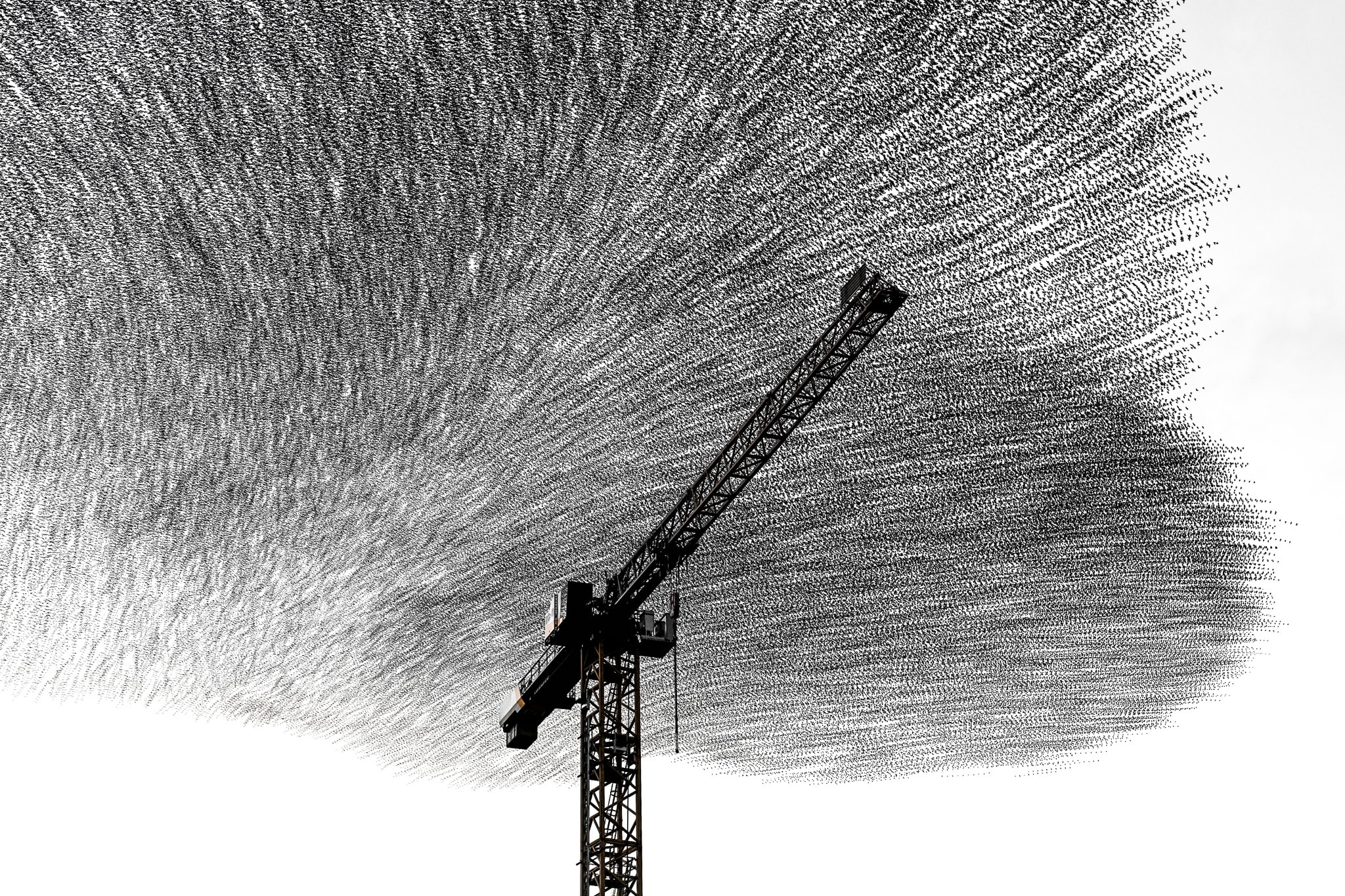 Layered starling movement forms a dense fan of lines around a construction crane.