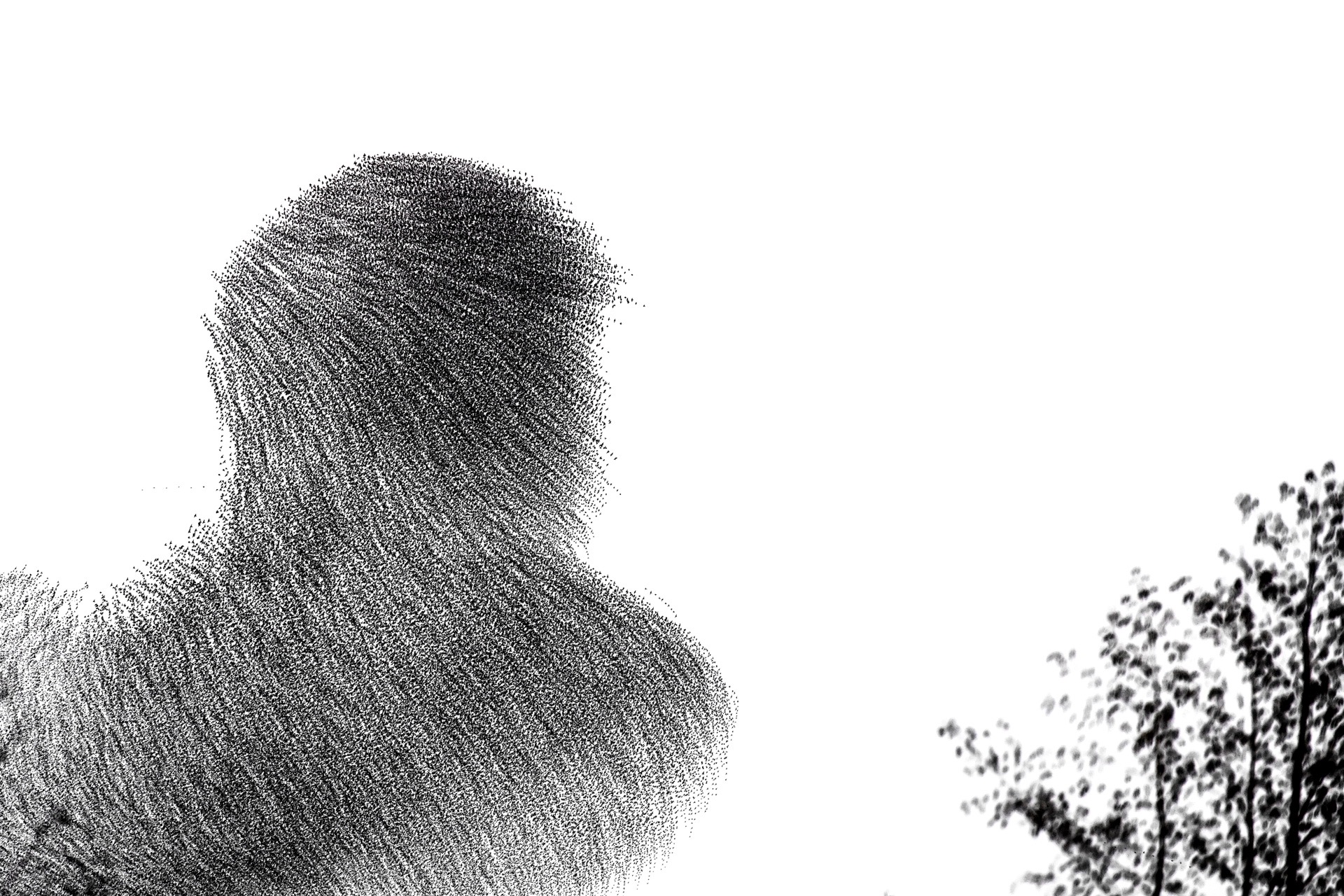 A murmuration forming the fleeting silhouette of a human figure.